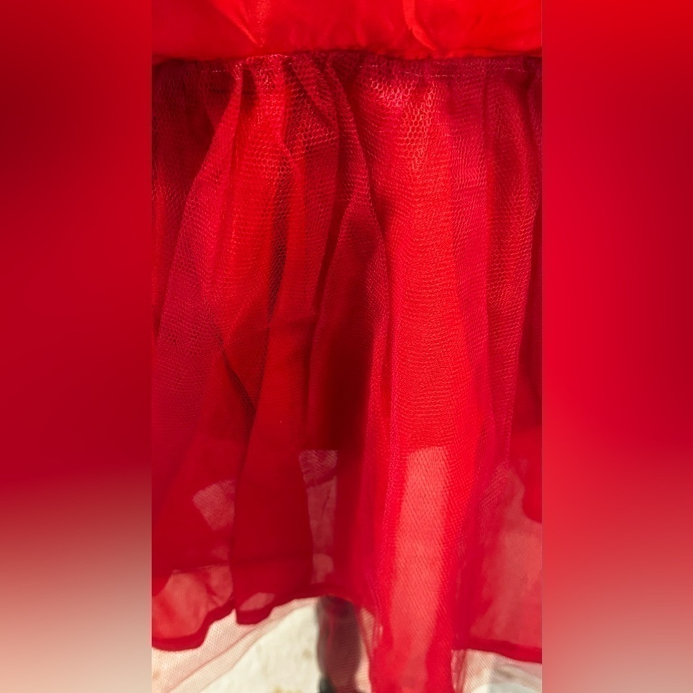 Red Lace and Satin Dress - Picture 5 of 12